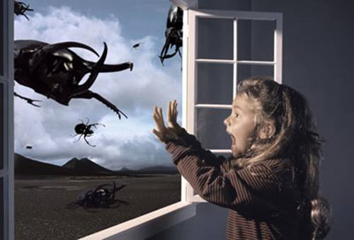 Lucid dream là gì? Giải mã giấc mơ sáng suốt chi tiết nhất