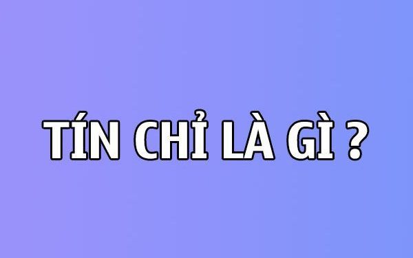 Tín chỉ là gì? Học theo tín chỉ là gì? Có nên học hè hay không?