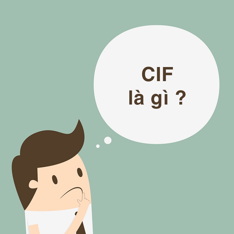 CIF là gì? Tất tần tật về những thông tin cơ bản về CIF