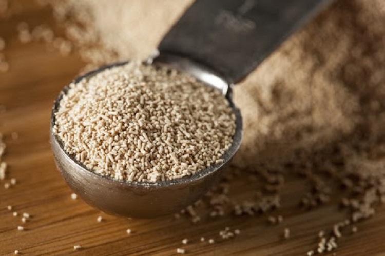 Yeast là gì? Những lưu ý khi sử dụng men nở để sở hữu chiếc bánh hoàn hảo