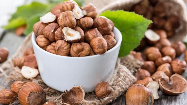 Hazelnut là gì? Thành phần và công dụng tuyệt vời của hạt phỉ bạn nên biết