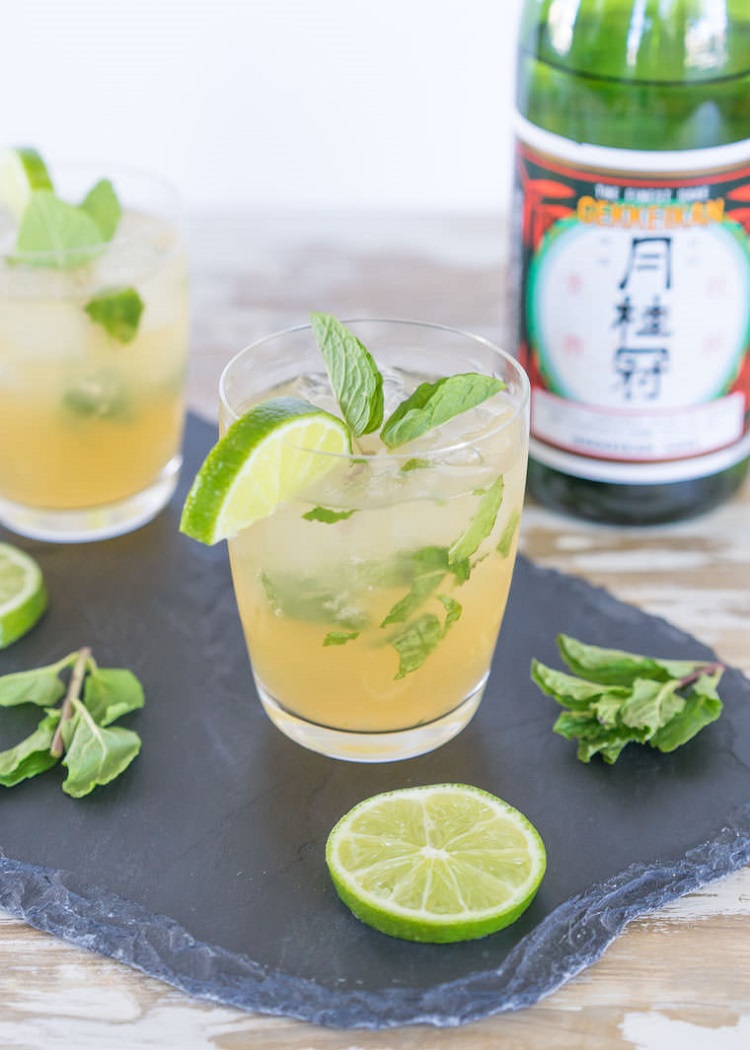 Mojito là gì? Một số công thức pha Mojito ngon tuyệt cho bạn