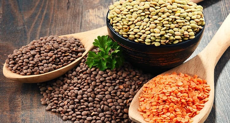 Đậu lăng là gì? Những công dụng và lưu ý sử dụng đậu lăng đối với sức khỏe