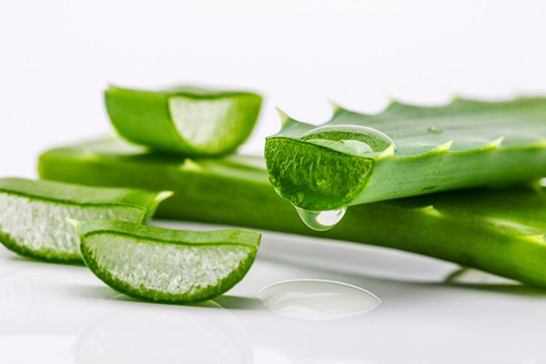 Bật mí 9 tác dụng của nha đam đối với sức khỏe và làm đẹp