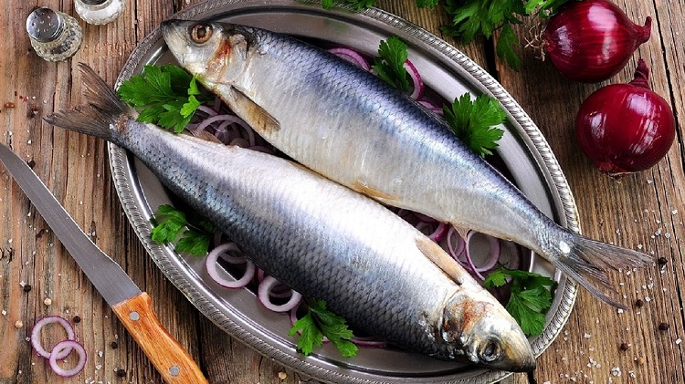 Có nên ăn nhiều cá trích không? Tác dụng của cá trích đối với sức khỏe