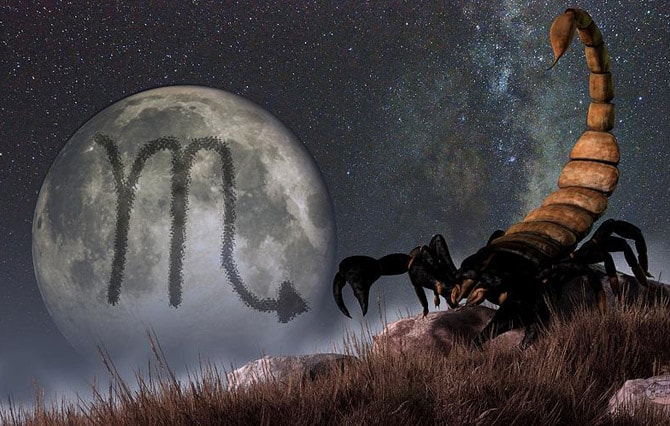 Khi yêu Cung Bọ Cạp nam là người như thế nào? Giải mã tính cách cung Bọ Cạp nam