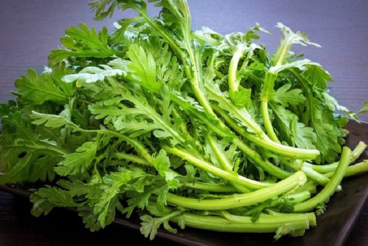 Công dụng của rau cải cúc là gì? Ăn rau cải cúc chữa được bệnh gì?