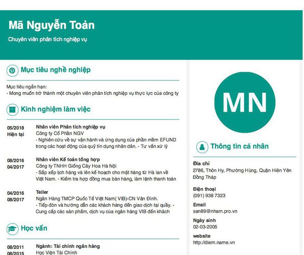 Hướng dẫn cách viết mẫu CV Chuyên viên cao cấp phân tích chuyên nghiệp