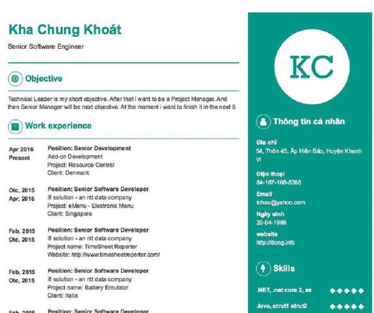 Hướng dẫn chi tiết cách viết mẫu CV Senior Software Engineer đầy đủ nhất