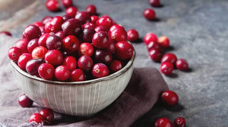 Cranberry là gì? Những công dụng tuyệt vời của quả nam việt quất