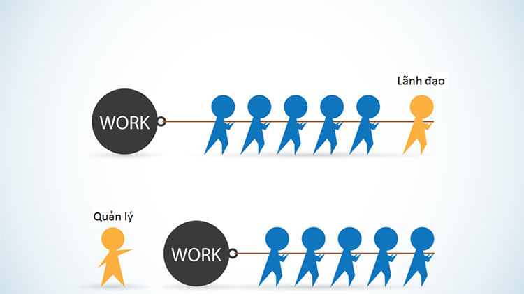 Người quản lý là gì