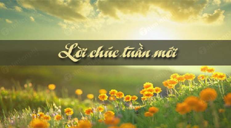 Lời chúc đầu tuần hay và ý nghĩa dành cho những người thân yêu