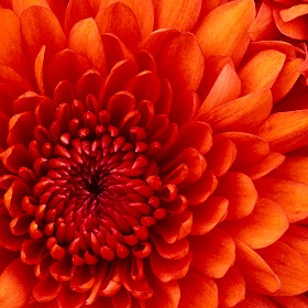 Công Ty Cổ Phần Thịnh Thành