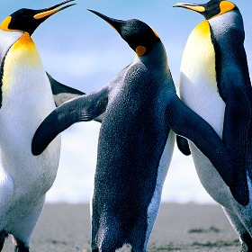 Công Ty TM Vận Tải Long Thành Phát