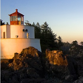 Công Ty cổ phần Kim Tân