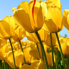 Công ty Vận Tải Thanh Hà