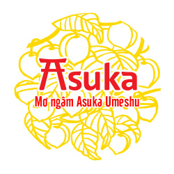 Công ty tnhh mtv asuka việt nam