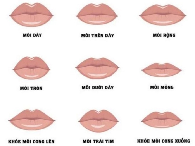 Tướng môi đàn ông thể hiện tính cách, vận mệnh cuộc đời như thế nào?