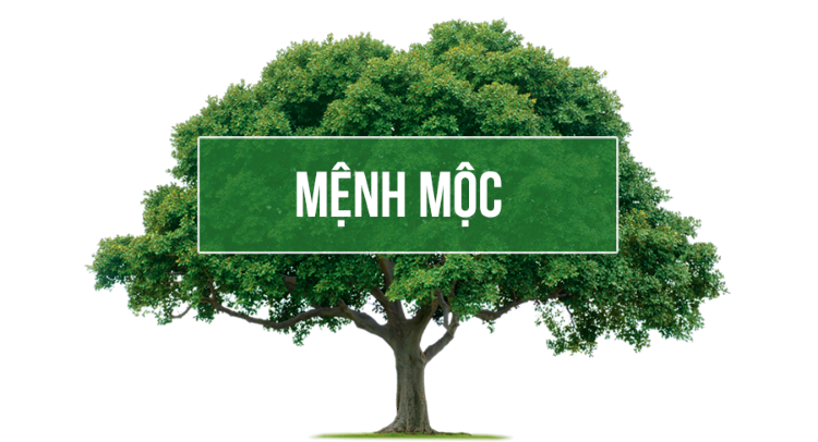 Bật mí cho bạn biết màu sắc đem lại tài lộc và may mắn cho người mệnh Mộc