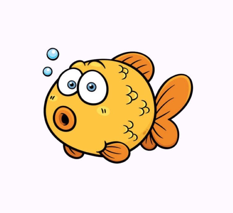 Giải mã chi tiết giấc mơ thấy cá chép? Nằm mơ thấy cá chép thì nên đánh số?