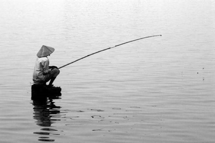 Mơ đi câu cá là điềm báo tốt hay xấu? Giấc mơ này mang đến thông điệp gì?