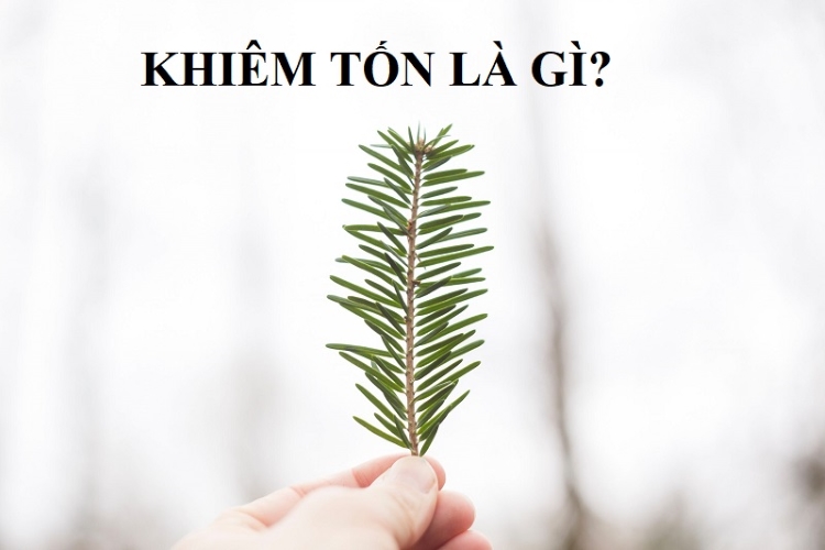Khiêm tốn là gì? Lợi ích và cách rèn luyện đức tính khiêm tốn