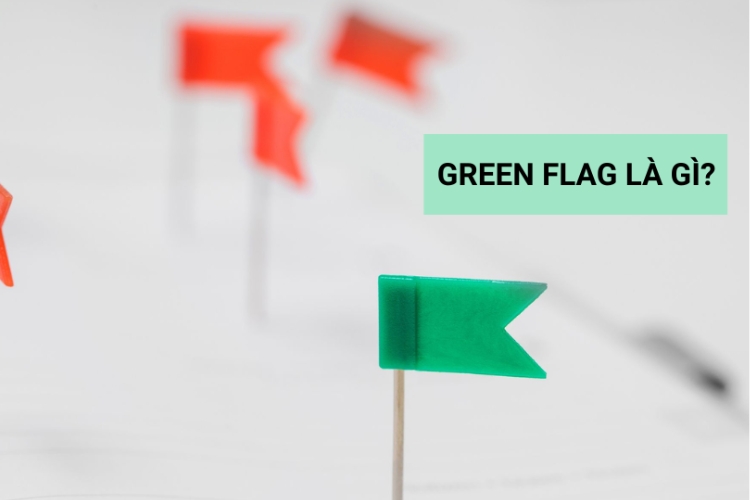 Top dấu hiệu Green Flags cho thấy bạn đã chọn đúng công ty