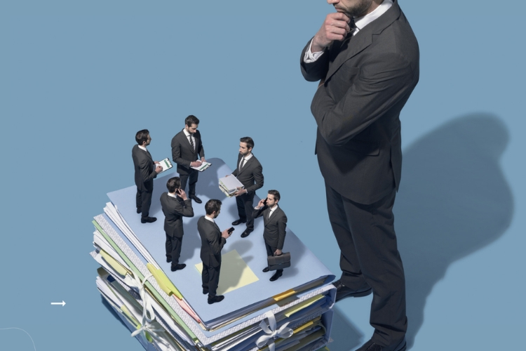 Ngành quản lý nhà nước có phù hợp với bạn? Cơ hội việc làm, thông tin thi tuyển?