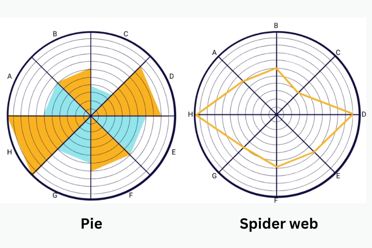 bánh xe cuộc đời