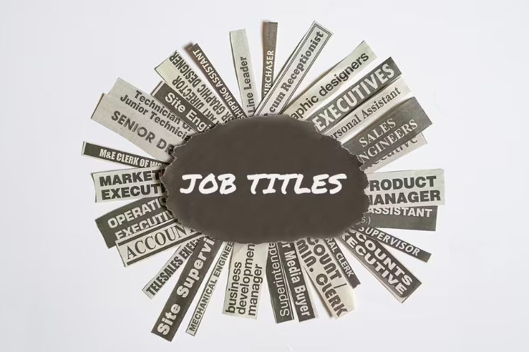 job title
