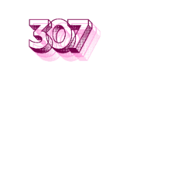 Công Ty Cổ Phần Đầu Tư Xây Lắp 307