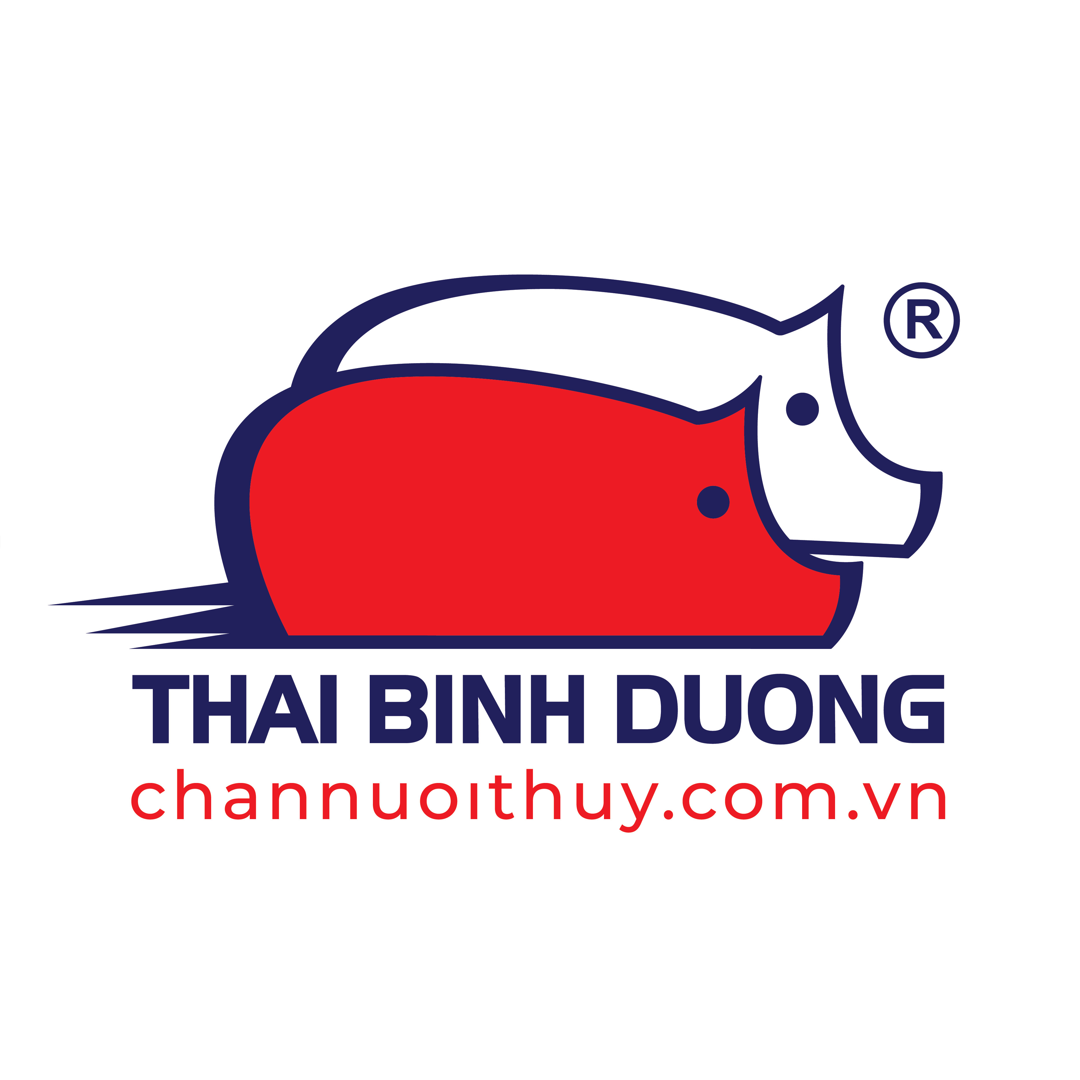 THÁI BÌNH DƯƠNG HR.