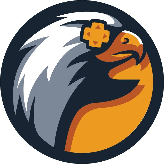 Công ty cổ phần falcon technology