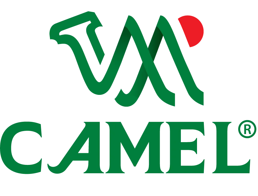 Cá» PHáº¦N BIA QUá»C Táº¾ CAMEL