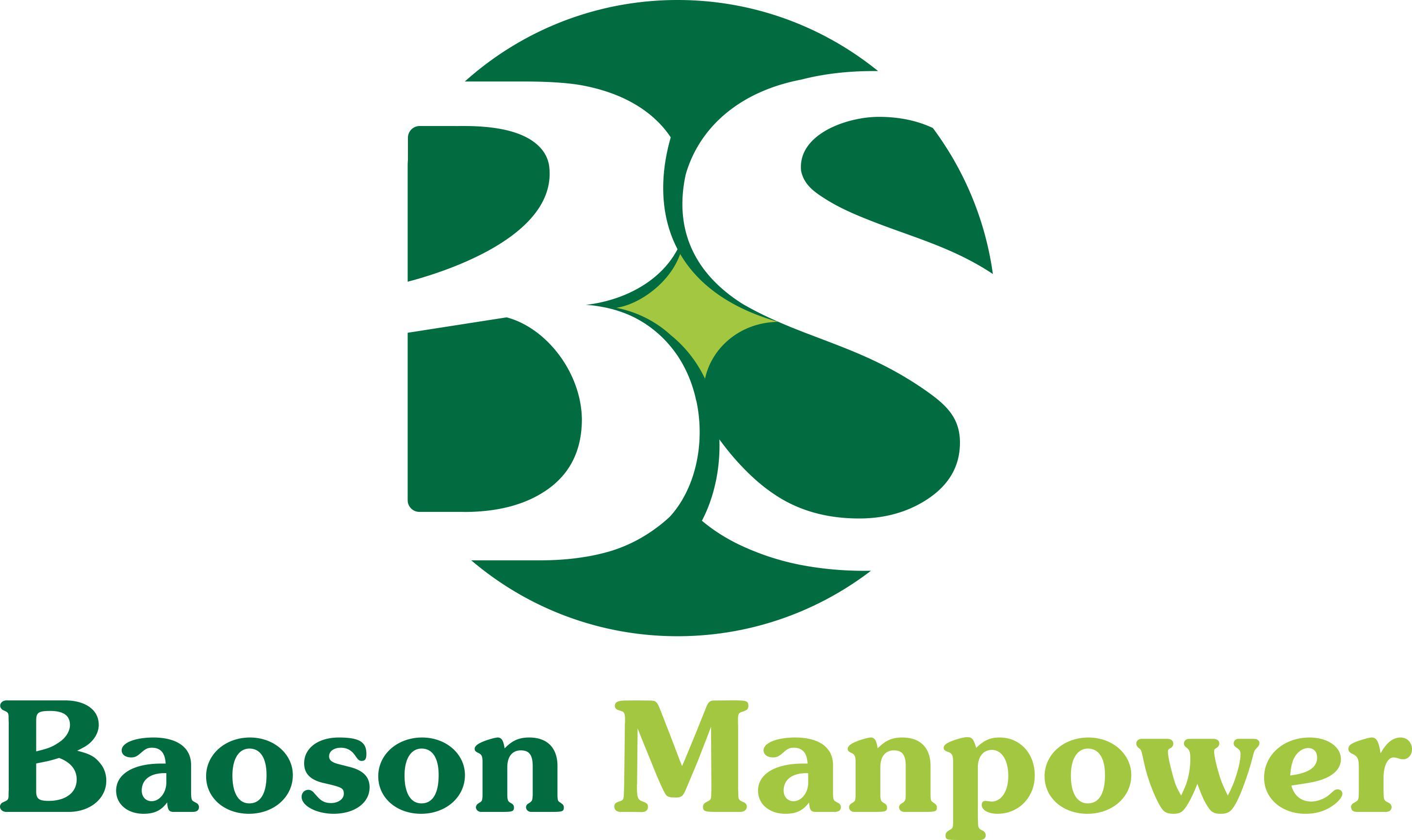 CÔNG TY TNHH NGUỒN NHÂN LỰC BẢO SƠN