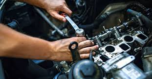 Công Ty TNHH Thương Mại Nông Nghiệp Đông Bắc