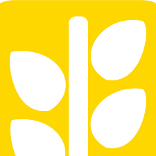 Sá»£i Chá» VÃ ng