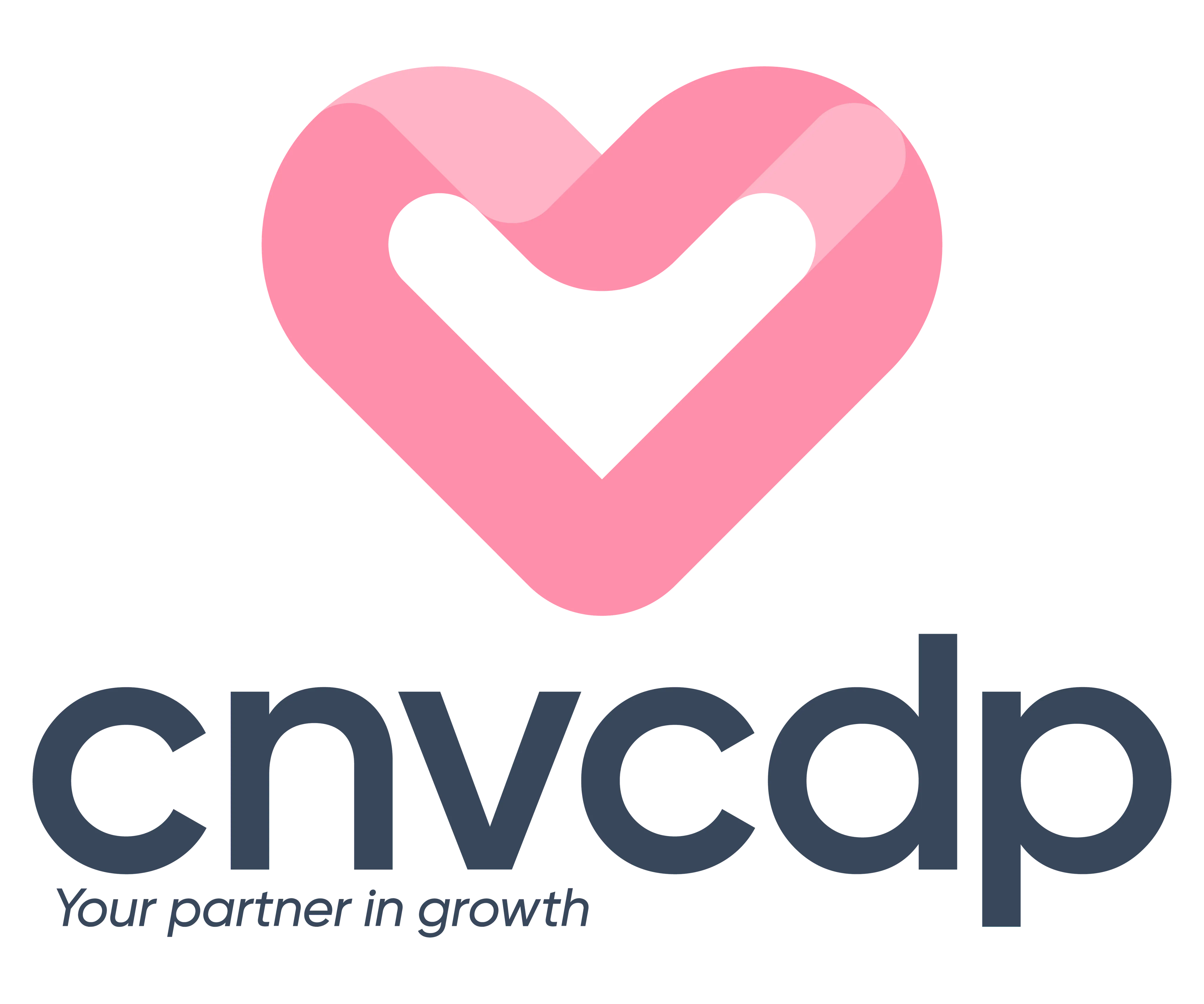 CÃNG TY Cá» PHáº¦N CNV HOLDINGS