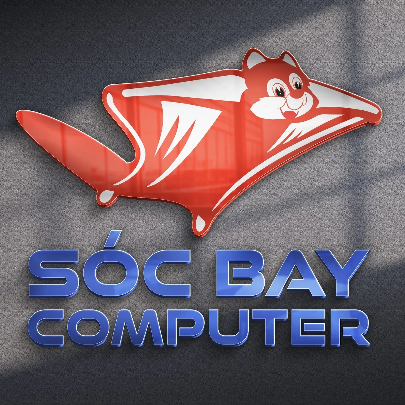 Sã³c bay
