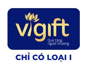 Vigift - đặc sản quà đà nẵng