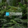Công Ty TNHH Thiết Kế Và Thi Công Cảnh Quan Silver Cloud
