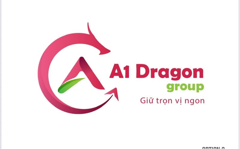 A1 dragon group. jsc