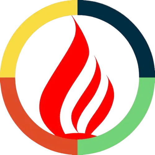 Viet tin software solution company limited