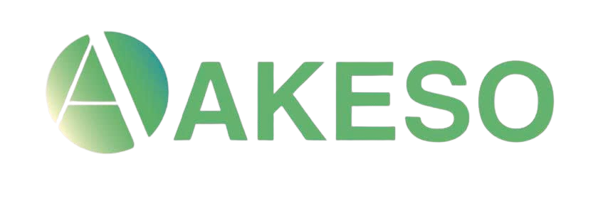 Công ty tnhh akeso